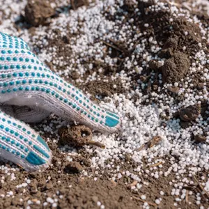 Healthy soil for landscaping