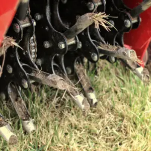 Professional lawn aeration service