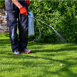 Professional pest control treatment application
