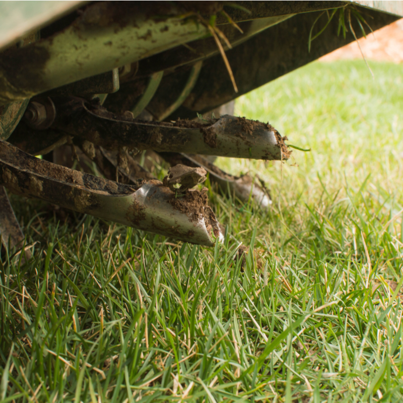 Benefits of Core Aeration For Your NC Lawn