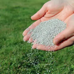 fertilizer being spread by hand