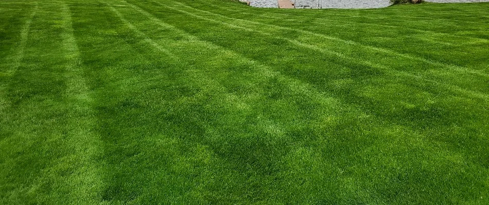 Beautiful, green grass next to a lake.