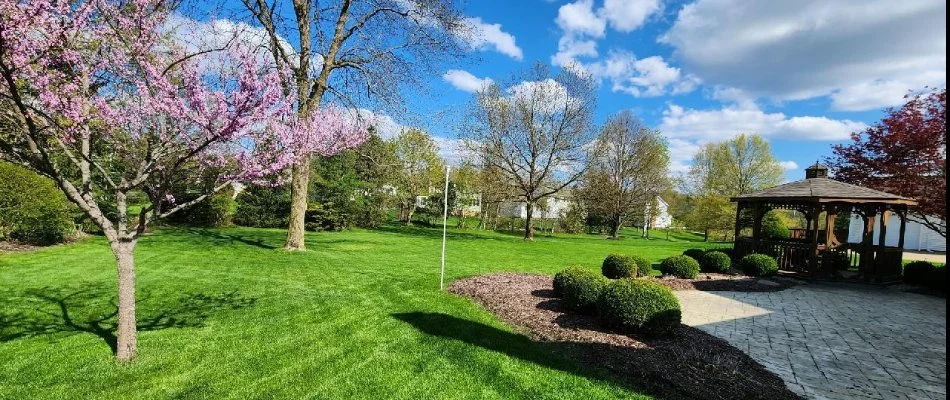 Public park with lush lawn and trimmed shrubs in Charlotte, NC.