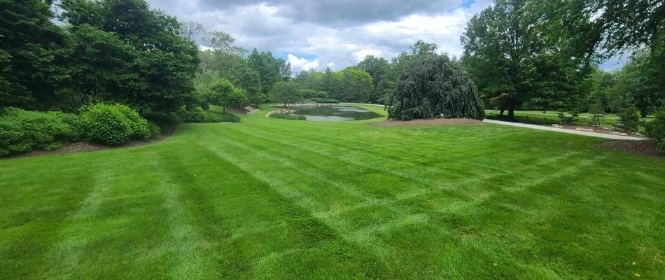 Green lawn and trees in Charlotte, NC, in front of a pond.