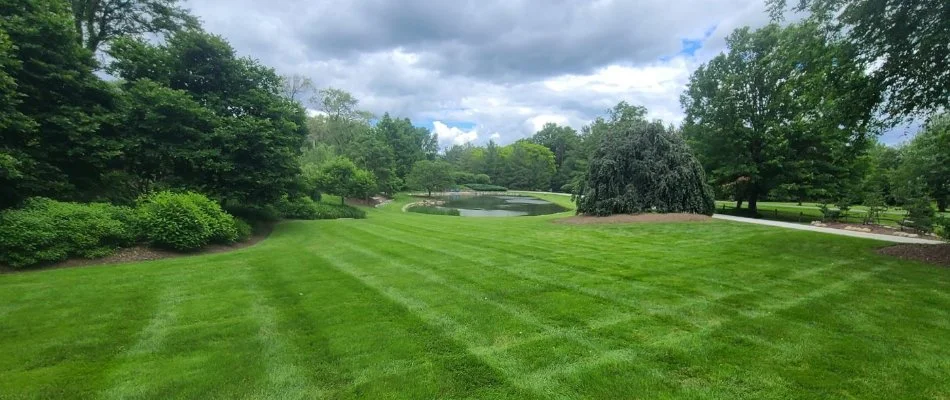 A green lawn surrounding a pond.