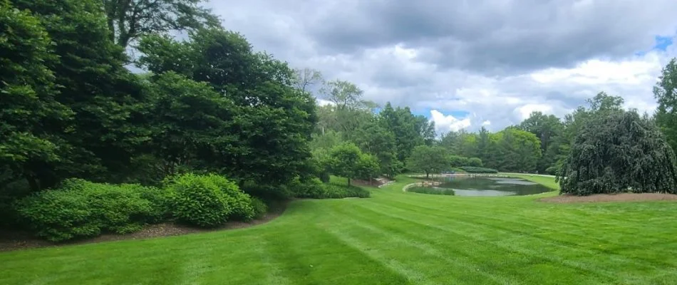 Green trees and shrubs on a lawn in Huntersville, NC, near a pond.