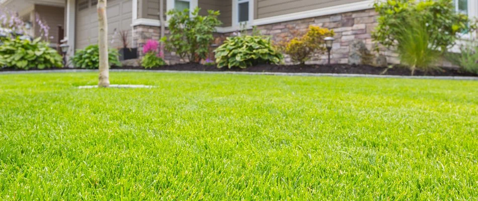 Bright, green residential lawn in North Mecklenburg, NC.