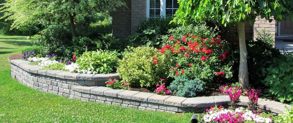 Landscape bed in Fort Mill, SC, with colorful flowers and green plants.