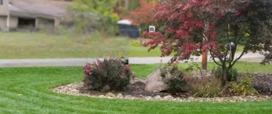 Landscape bed in Cornelius, NC, with mulch, rocks, and shrubs.