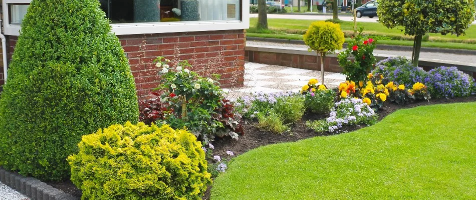 A landscape bed on a property in Mooresville, NC, filled with flowers and shrubs.