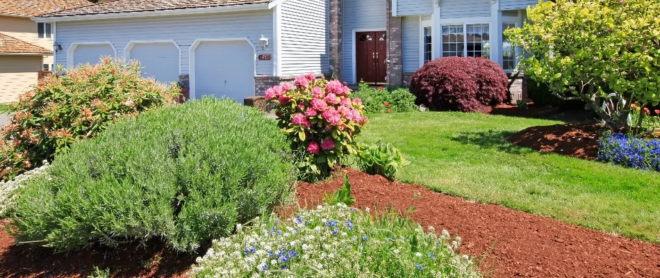 A beautiful landscape on a property in Concord, NC.