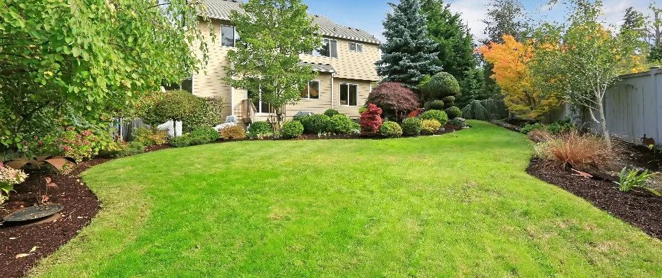 The backyard of a property in Charlotte, NC, with vibrant trees and shrubs.