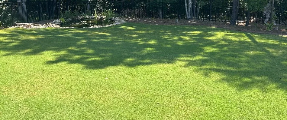 Healthy backyard turf at a home in Charlotte, NC.