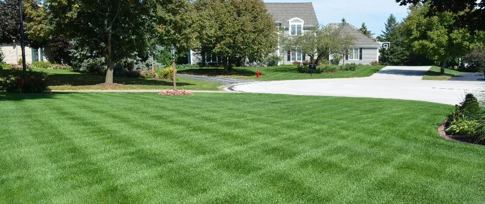 Lush green lawn in Matthews, NC, with mowing patterns.