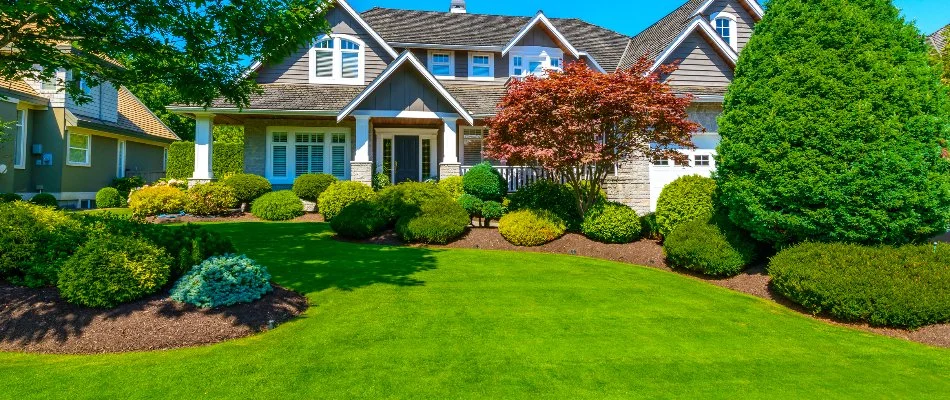 Landscape bed in Matthews, NC, with shrubs and flowers beside a lawn.