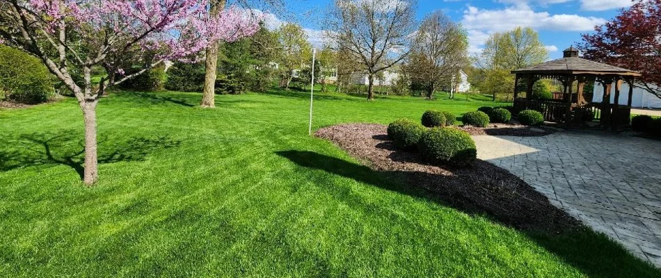 A property in Charlotte, NC, with a neat, well-maintained lawn.