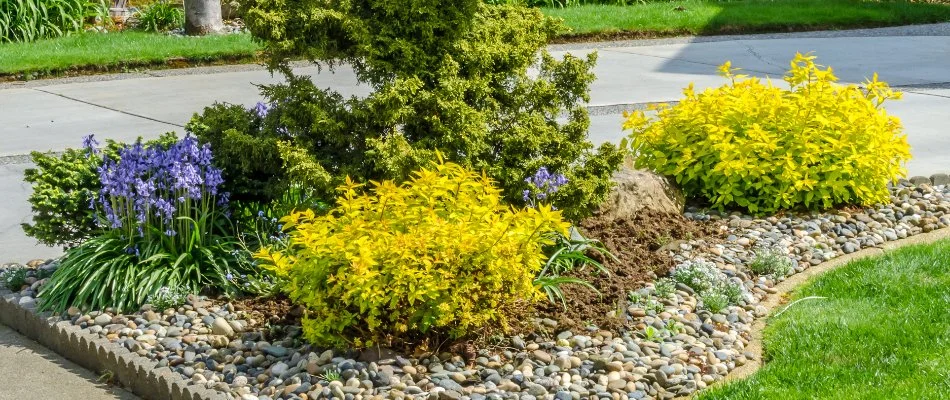 Landscape bed with rocks installed in North Mecklenburg, NC.