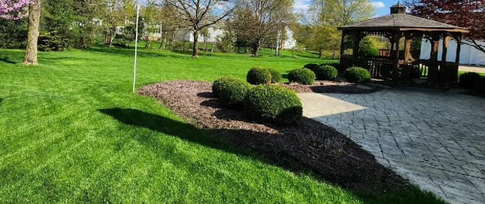 Mulch in a landscape bed with shrubs near a patio in Charlotte, NC.