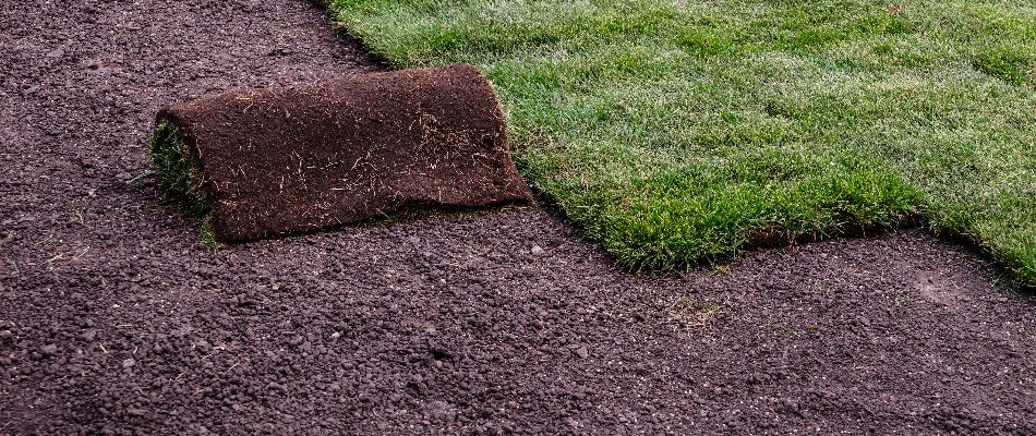 New sod installation in Charlotte, NC.