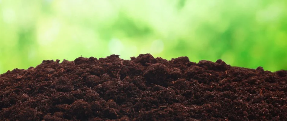 A pile of dark soil in Charlotte, NC, with green in the background.