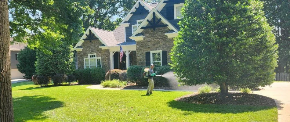 Professional applying a disease control treatment on a tree in Charlotte, NC.