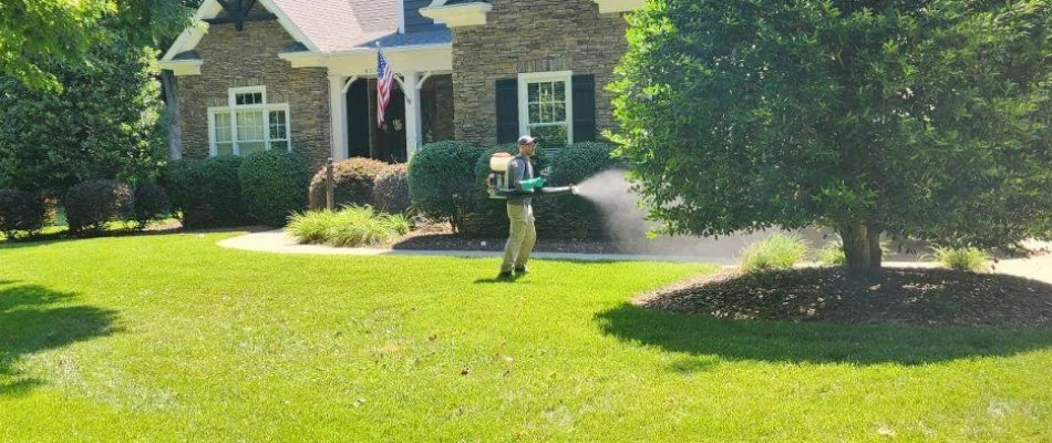 A professional spraying a pest control treatment on a property in Mint Hill, NC.