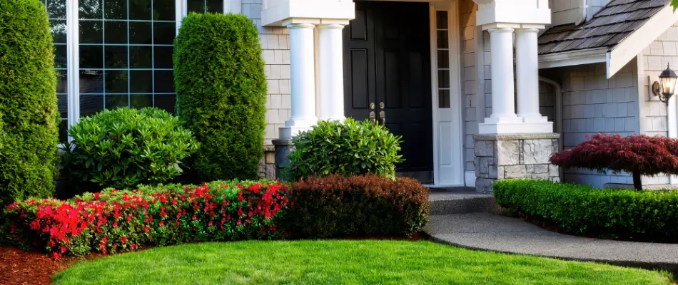 Residential property in Charlotte, NC, with shrubs with red flowers.