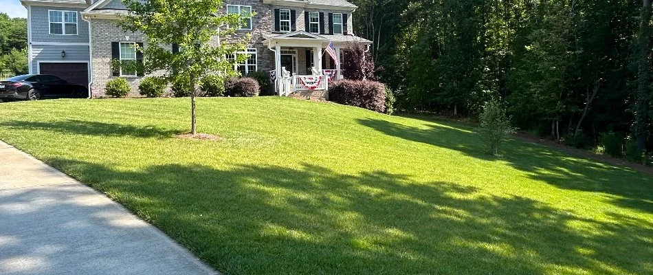 Sloped yard in Indian Land, SC, with green grass and a house.