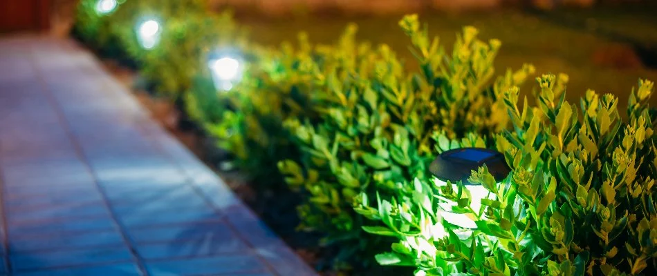 Landscape lighting along walkway in Charlotte, NC.