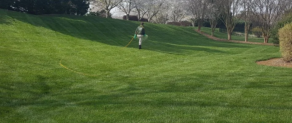 Tech applying a treatment to a lawn in Fort Mill, SC.