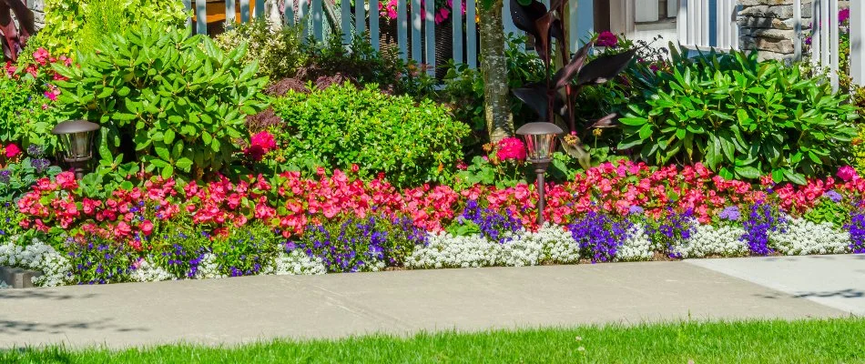 Vibrant flowers and plants along a walkway in Indian Land, SC.