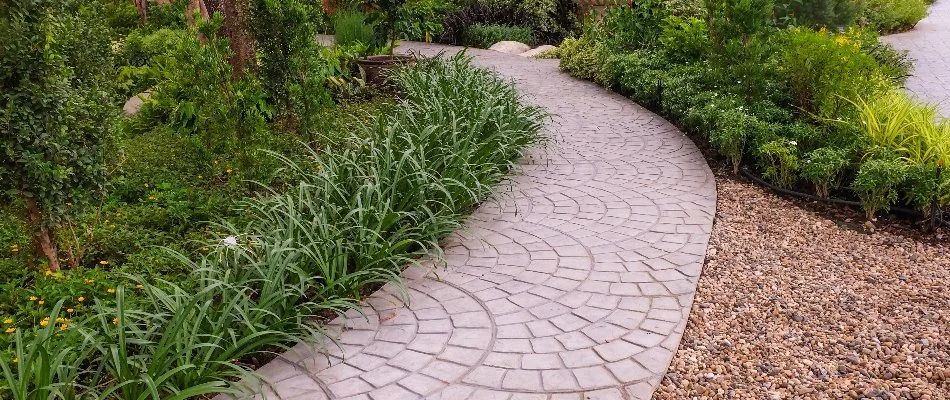 Walkway surrounded by plantings in Cabarrus County, NC.