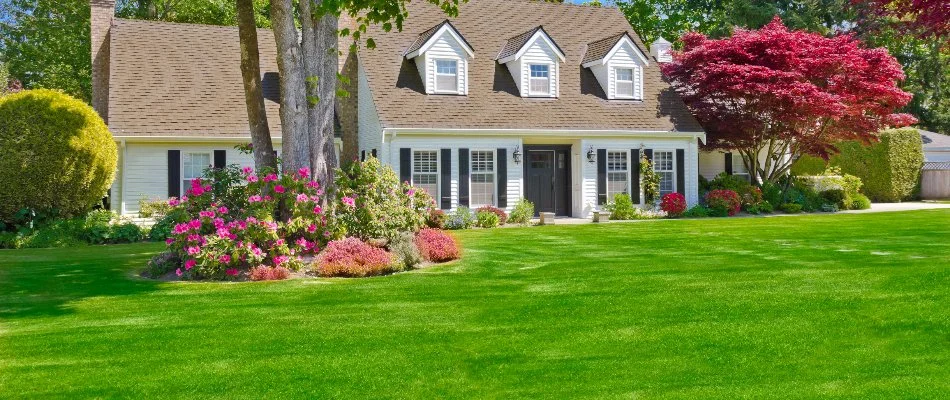 White house inCharlotte, NC, with a green lawn and plants.