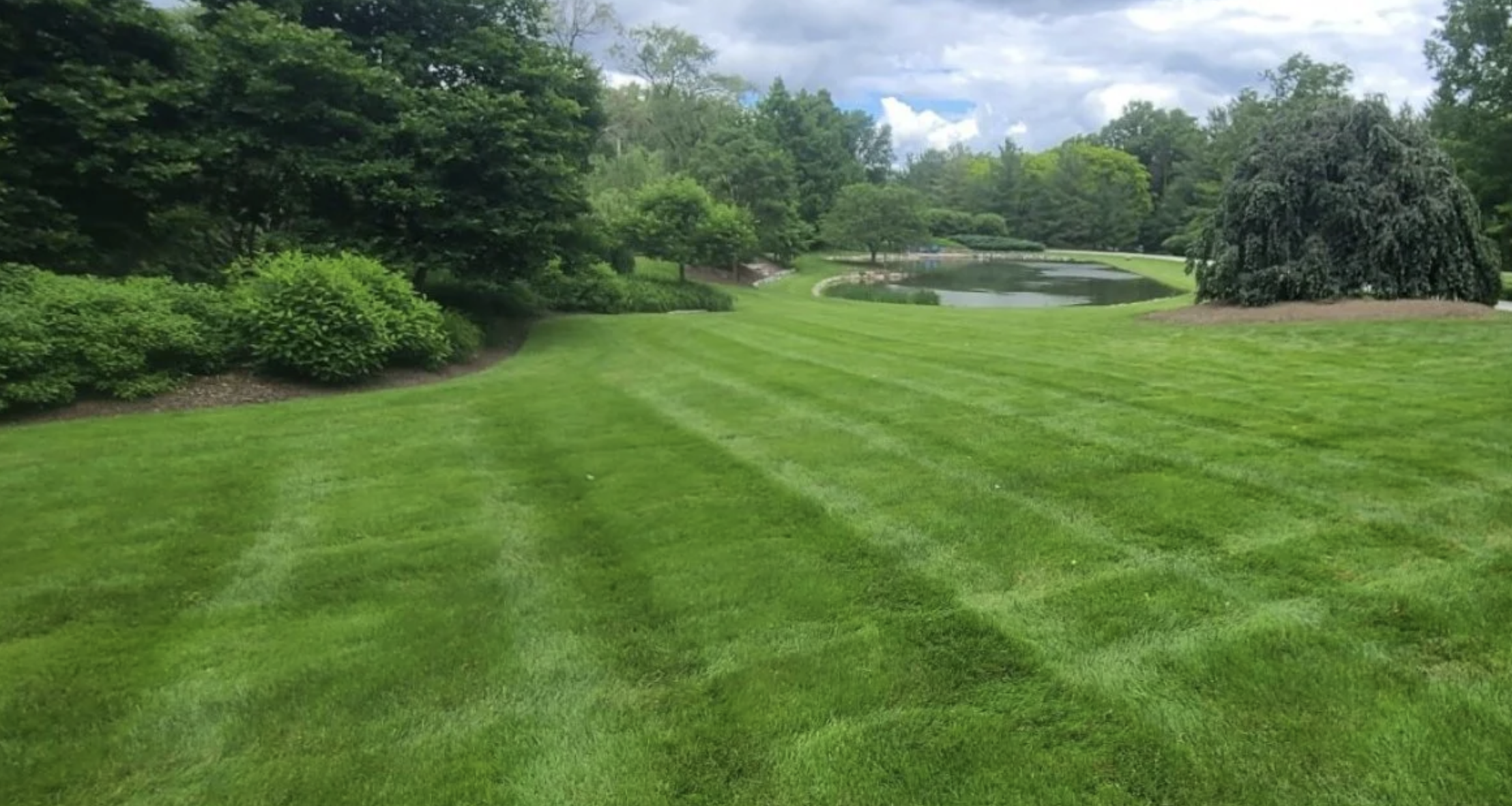 Pine Valley Turf Management logo