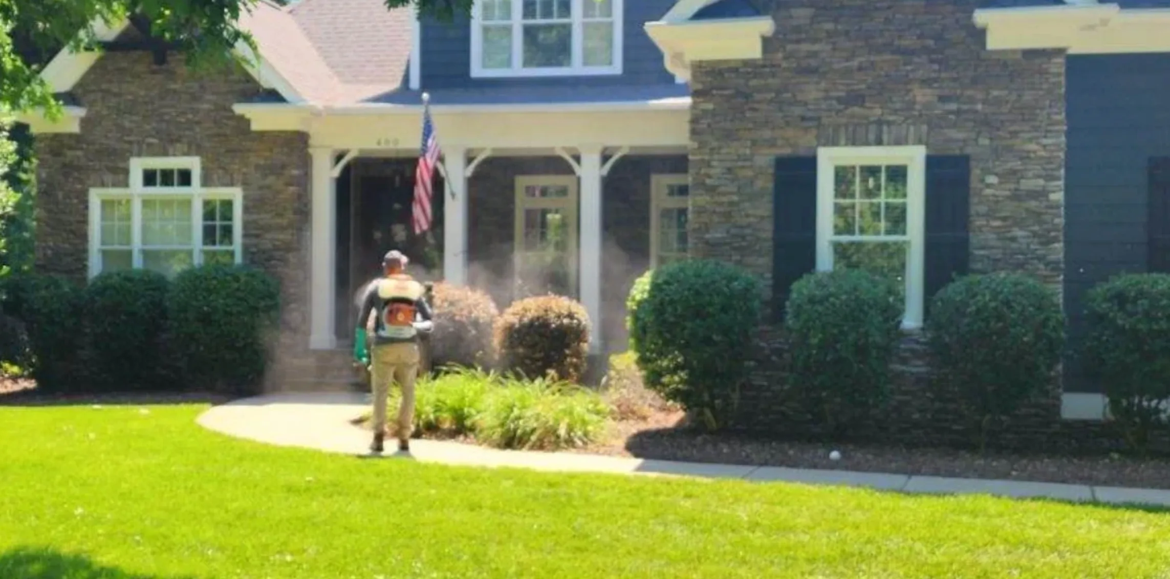 Pest control services in North Mecklenburg