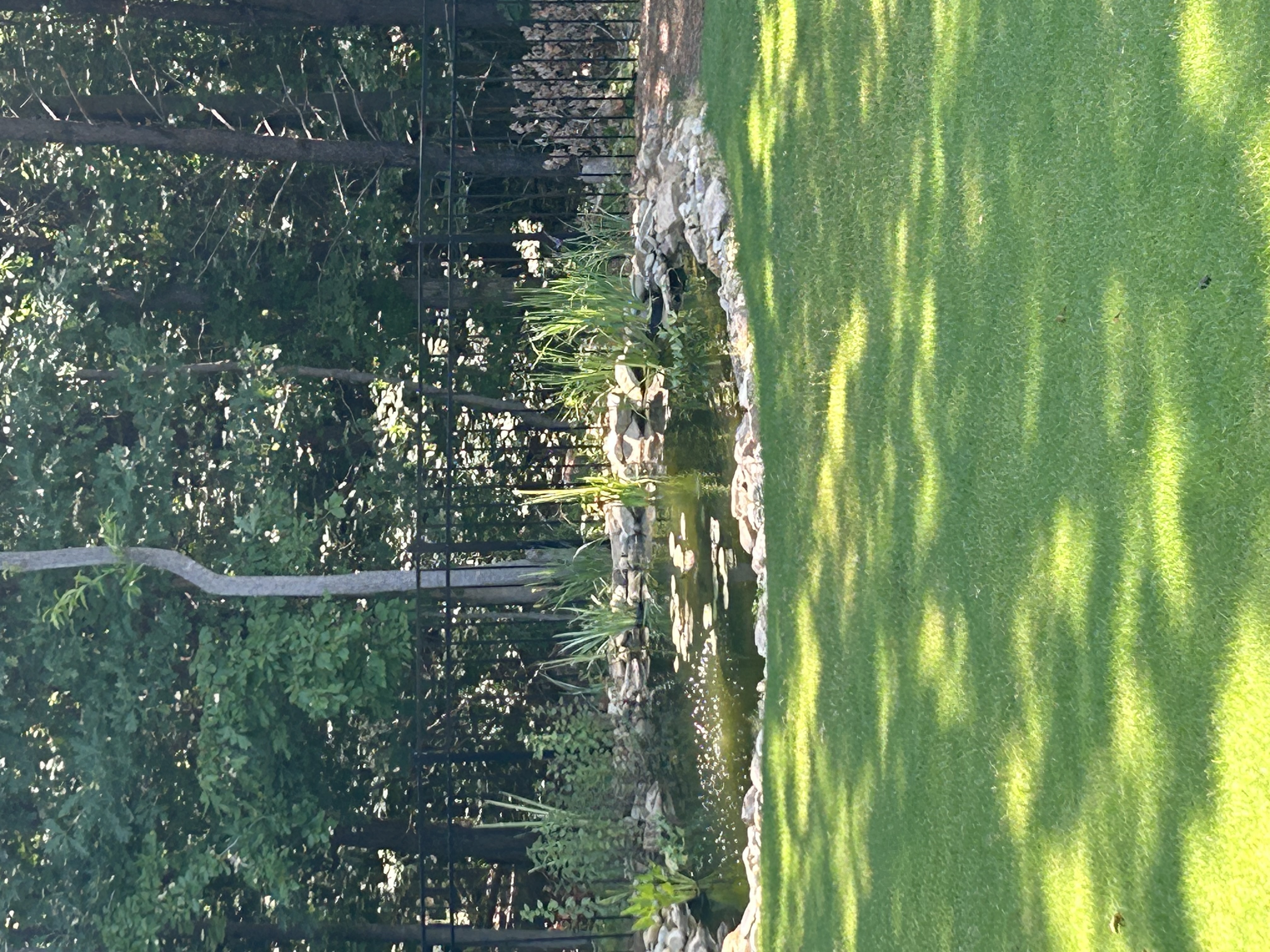 Professional lime treatment services balancing soil pH for healthy lawn growth in Charlotte, NC