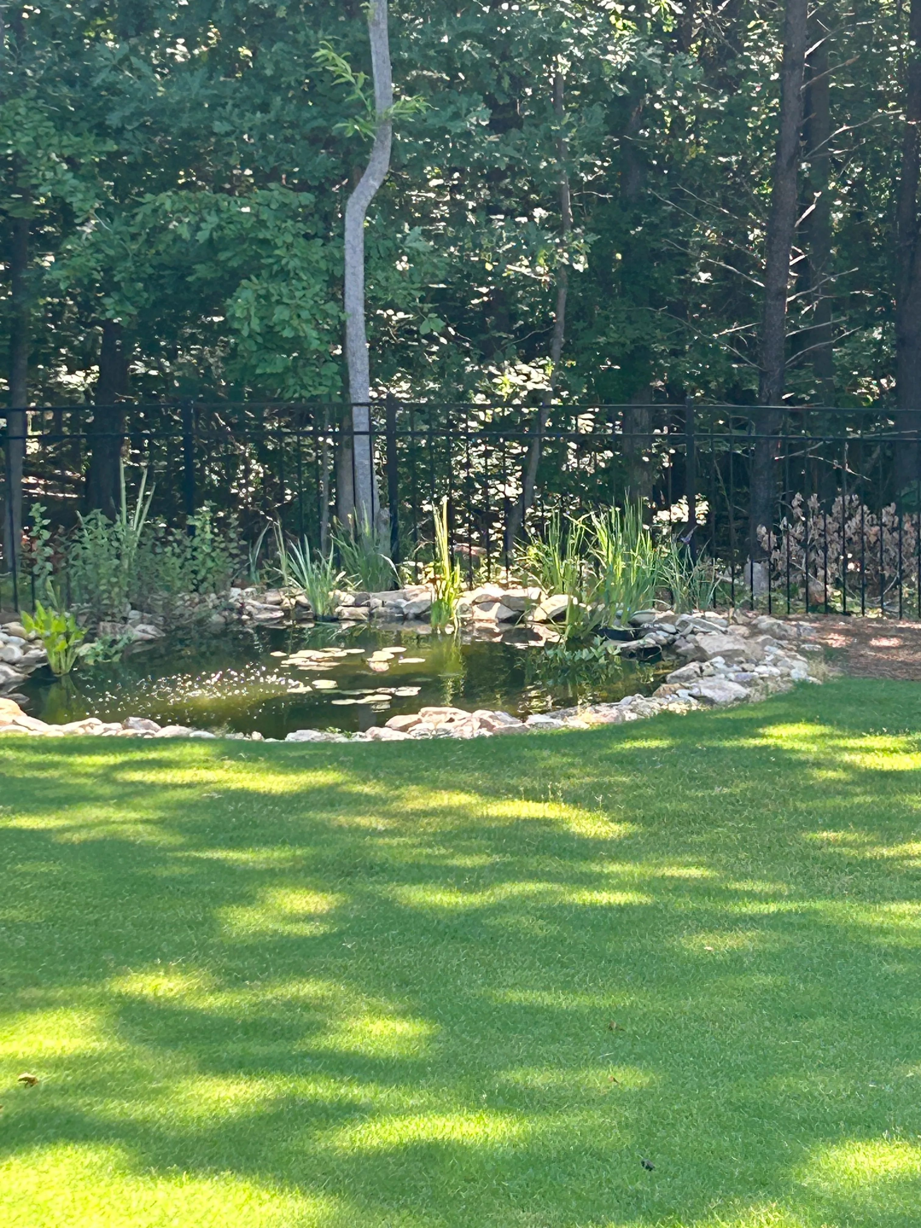 Healthy lawn landscape