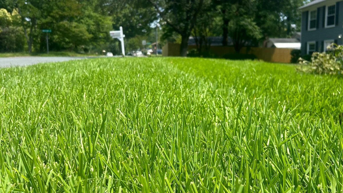 Professional yard drainage solutions and installation in Charlotte, NC